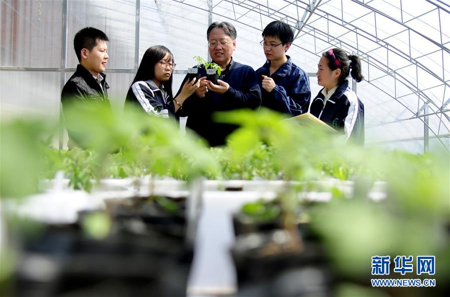 (新華全媒頭條·圖文互動(dòng))(7)和蔬菜“說話”的人——中國(guó)工程院院士李天來(lái)的“棚菜人生”