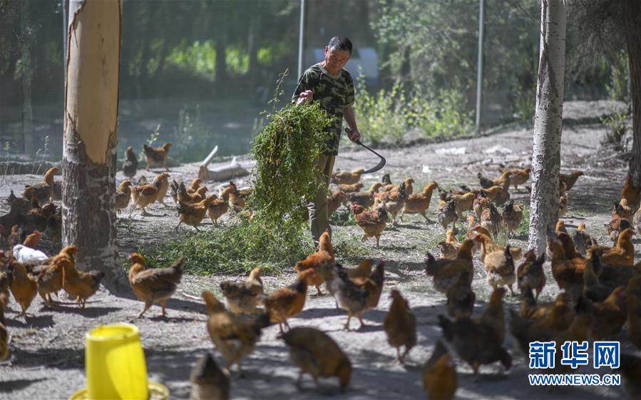 （新華全媒頭條&middot;圖文互動(dòng)）（6）同心援疆，&ldquo;壯闊&rdquo;祖國西北角