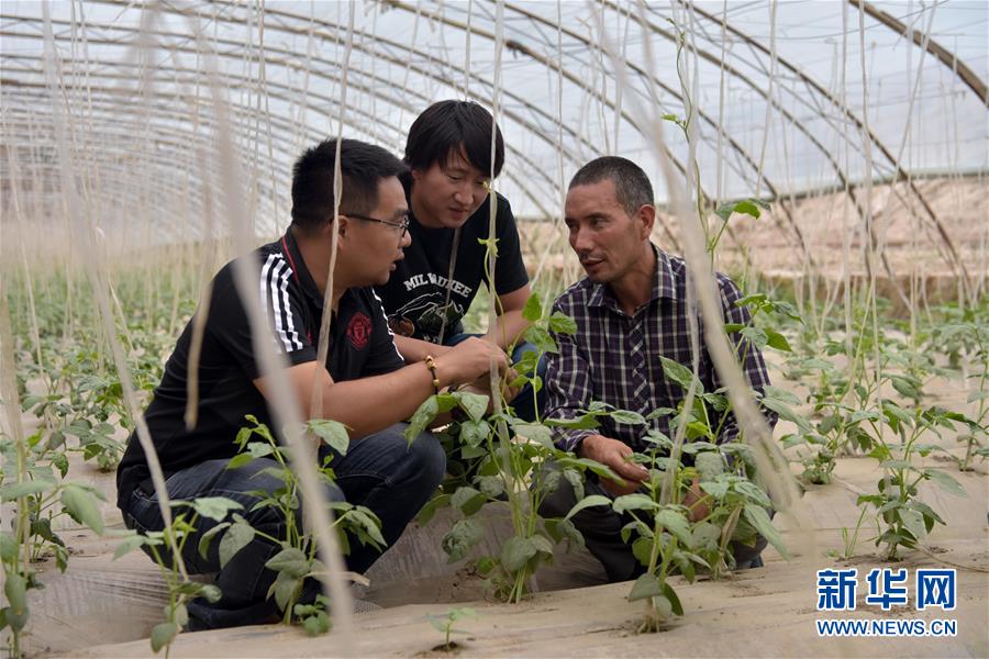 （新華全媒頭條&middot;圖文互動(dòng)）（10）同心援疆，&ldquo;壯闊&rdquo;祖國西北角