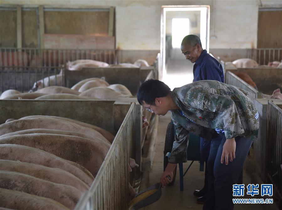 （新華全媒頭條&middot;圖文互動(dòng)）（2）咱們村里的年輕人&mdash;&mdash;記奮戰(zhàn)在貴州脫貧攻堅(jiān)一線的青年