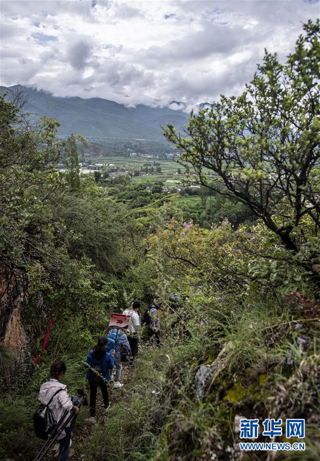 (壯麗70年·奮斗新時(shí)代——記者再走長(zhǎng)征路·圖文互動(dòng))(2)麗江古城的紅色記憶