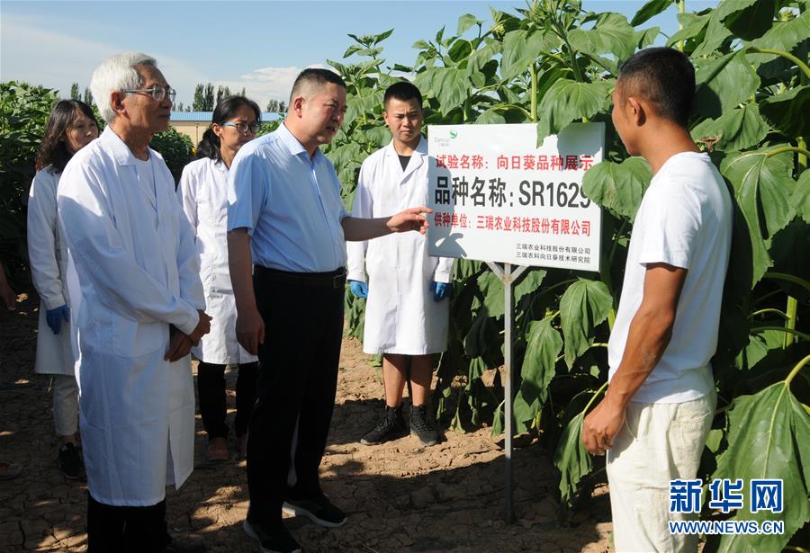 （愛國(guó)情 奮斗者&middot;圖片互動(dòng)）（3）張永平：像打造&ldquo;中國(guó)芯&rdquo;一樣打造&ldquo;中國(guó)葵&rdquo;