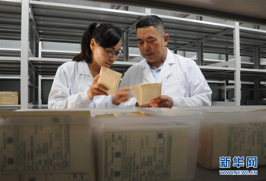 （愛國(guó)情 奮斗者&middot;圖片互動(dòng)）（2）張永平：像打造&ldquo;中國(guó)芯&rdquo;一樣打造&ldquo;中國(guó)葵&rdquo;