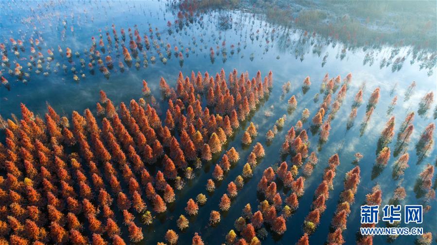 (壯麗70年·奮斗新時代——共和國發(fā)展成就巡禮)(4)云嶺彩卷繪 高原氣象新——新中國成立70年云南發(fā)展巡禮