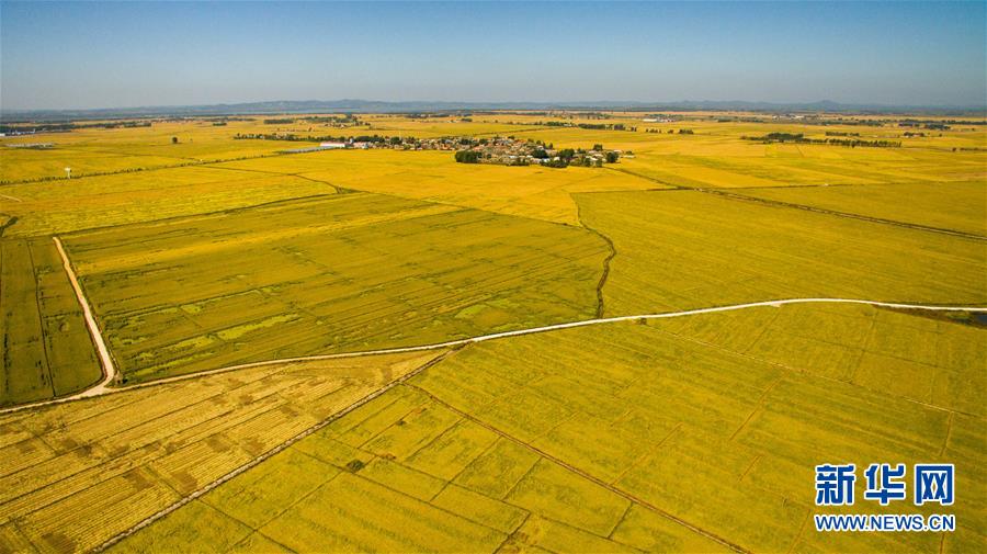 （在習(xí)近平新時(shí)代中國特色社會(huì)主義思想指引下&mdash;&mdash;新時(shí)代新作為新篇章&middot;圖文互動(dòng)）（2）吉林萬昌現(xiàn)代農(nóng)業(yè)發(fā)展先導(dǎo)區(qū)&ldquo;三變&rdquo; 