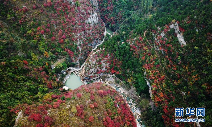 （壯麗70年&middot;奮斗新時(shí)代&mdash;&mdash;共和國發(fā)展成就巡禮&middot;圖文互動(dòng)）（2）以&ldquo;綠色&rdquo;身姿站上發(fā)展前沿&mdash;&mdash;甘肅綠色轉(zhuǎn)型發(fā)展紀(jì)實(shí)