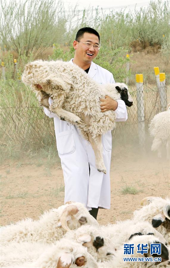 （壯麗70年&middot;奮斗新時(shí)代&mdash;&mdash;共和國(guó)發(fā)展成就巡禮&middot;圖文互動(dòng)）（3）生態(tài)美、百姓富&mdash;&mdash;品讀嶄新&ldquo;寧夏畫(huà)卷&rdquo;