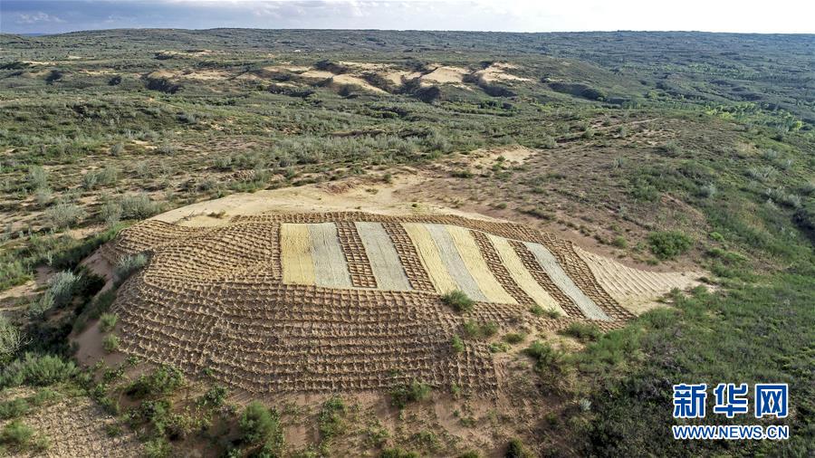 （壯麗70年&middot;奮斗新時(shí)代&mdash;&mdash;共和國(guó)發(fā)展成就巡禮&middot;圖文互動(dòng)）（6）生態(tài)美、百姓富&mdash;&mdash;品讀嶄新&ldquo;寧夏畫(huà)卷&rdquo;