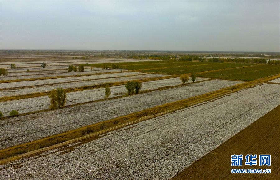 (壯麗70年·奮斗新時代——共和國發(fā)展成就巡禮·圖文互動)(1)鑄劍為犁造綠洲 安邊固疆筑“長城”——新疆生產(chǎn)建設(shè)兵團維穩(wěn)戍邊改革發(fā)展紀實