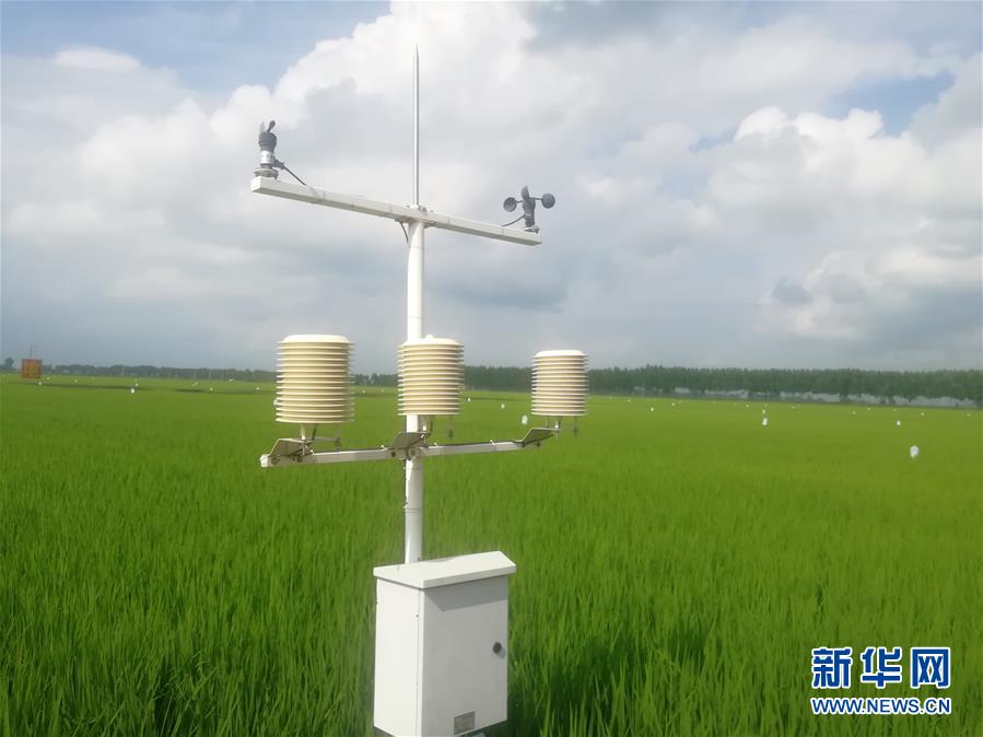 (在習近平新時代中國特色社會主義思想指引下——新時代新作為新篇章·圖文互動)(1)從“靠天吃飯”到“看天管理”——黑龍江創(chuàng)新氣象為農(nóng)服務體系觀察