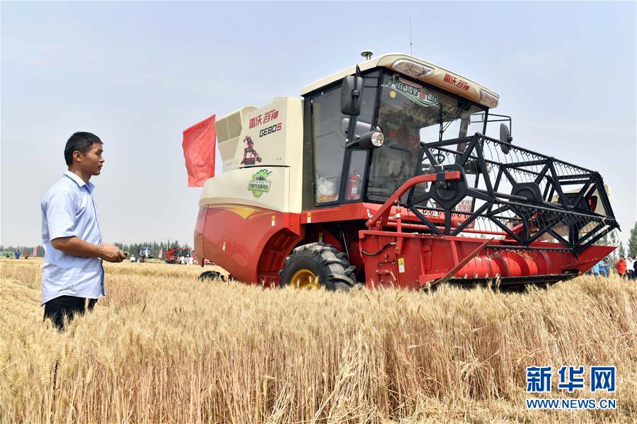 (壯麗70年·奮斗新時(shí)代——共和國發(fā)展成就巡禮)(2)看今朝齊風(fēng)魯韻 七十載芳華正勁——新中國成立以來山東領(lǐng)先發(fā)展紀(jì)實(shí)