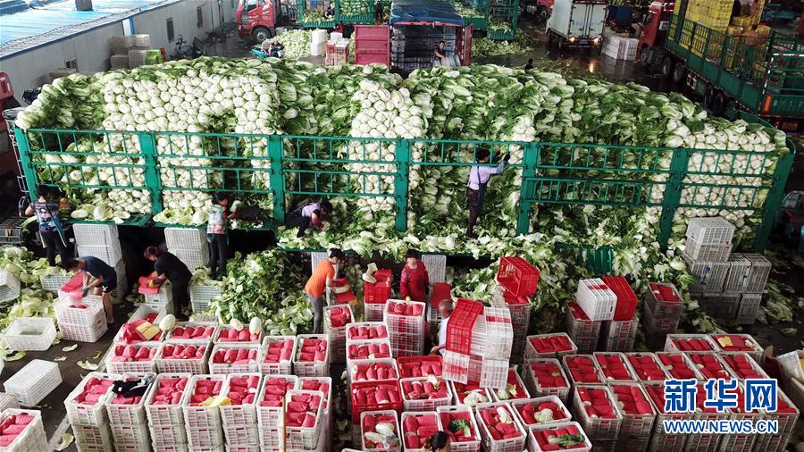 (壯麗70年·奮斗新時(shí)代——共和國發(fā)展成就巡禮)(5)看今朝齊風(fēng)魯韻 七十載芳華正勁——新中國成立以來山東領(lǐng)先發(fā)展紀(jì)實(shí)