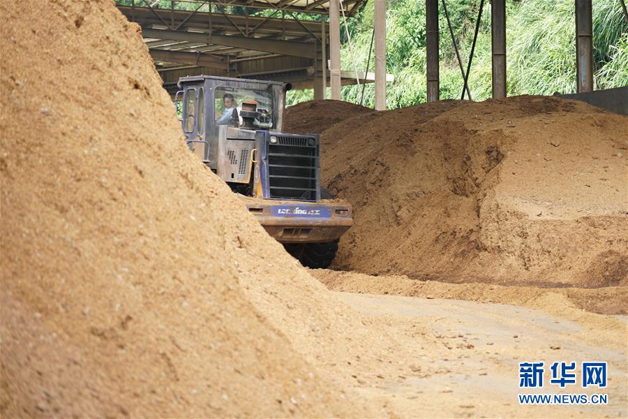 （在習(xí)近平新時(shí)代中國特色社會(huì)主義思想指引下&mdash;&mdash;新時(shí)代新作為新篇章&middot;總書記關(guān)心的百姓身邊事&middot;圖文互動(dòng)）（4）大污染變身&ldquo;大寶藏&rdquo;：治理畜禽糞污，他們這樣干！