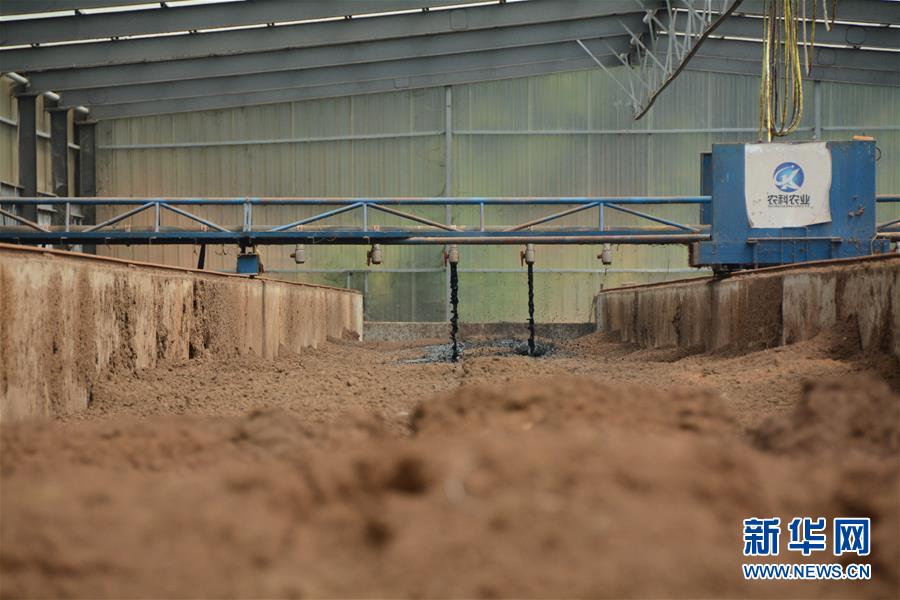 （在習(xí)近平新時(shí)代中國特色社會(huì)主義思想指引下&mdash;&mdash;新時(shí)代新作為新篇章&middot;總書記關(guān)心的百姓身邊事&middot;圖文互動(dòng)）（5）大污染變身&ldquo;大寶藏&rdquo;：治理畜禽糞污，他們這樣干！