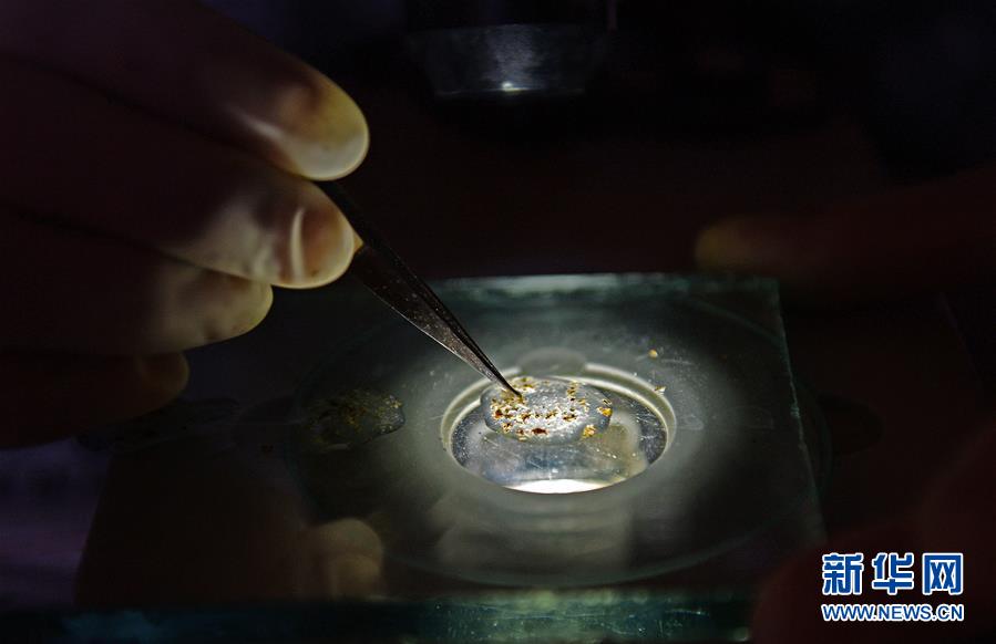 （紅土地&ldquo;往事新說(shuō)&rdquo;&middot;圖文互動(dòng)）（1）昔日送&ldquo;瘟神&rdquo;  今朝健康促小康