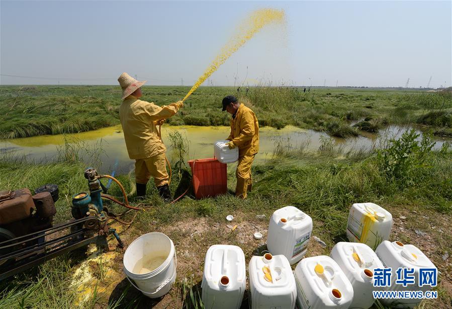 (紅土地“往事新說”·圖文互動)(7)昔日送“瘟神” 今朝健康促小康