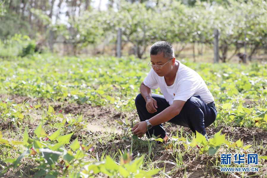 （不忘初心、牢記使命&middot;圖文互動(dòng)）（4）&ldquo;上天入地&rdquo;也要帶領(lǐng)鄉(xiāng)親脫貧&mdash;&mdash;記廣東那毛村駐村第一書(shū)記彭彬