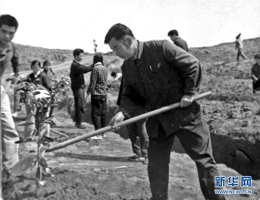 （紅土地&ldquo;往事新說(shuō)&rdquo;&middot;圖文互動(dòng)）（1）昔日房前&ldquo;一棵苗&rdquo; 今朝引來(lái)橙滿(mǎn)枝