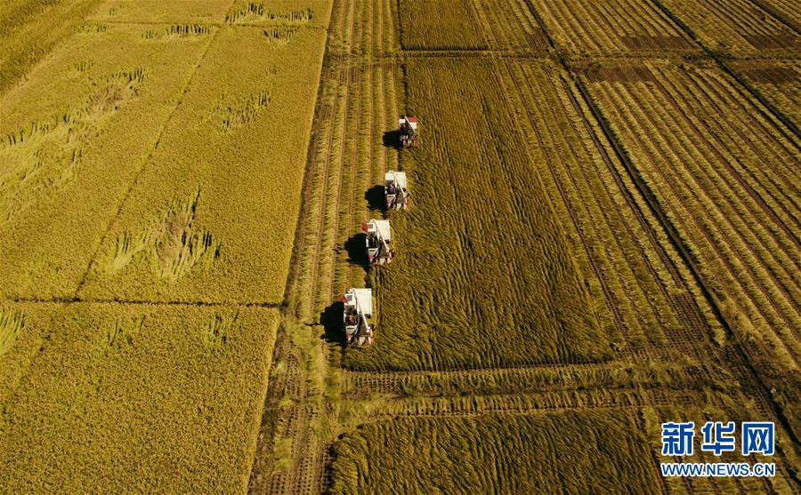 （新華全媒頭條&middot;圖文互動）（5）紅色的傳承，藍(lán)圖的起點&mdash;&mdash;新中國孕育與發(fā)展的&ldquo;東北記憶&rdquo;