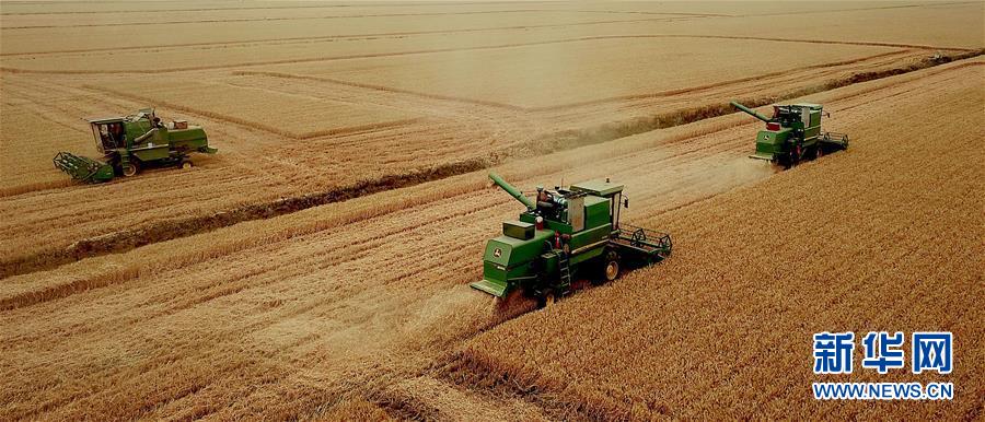 (新華全媒頭條·圖文互動(dòng))(1)大國(guó)糧倉(cāng)的新時(shí)代交響——河南農(nóng)業(yè)70年觀察