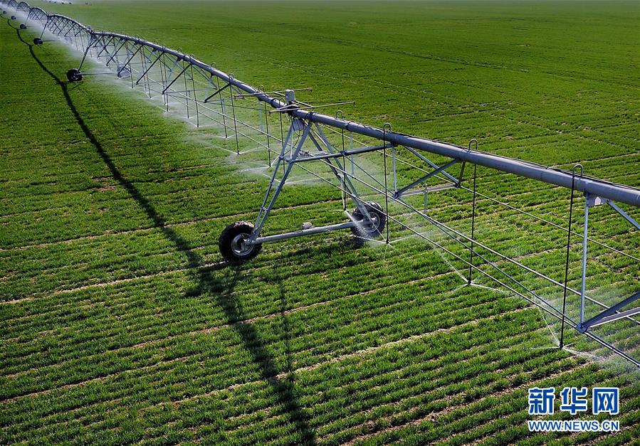 (新華全媒頭條·圖文互動(dòng))(4)大國(guó)糧倉(cāng)的新時(shí)代交響——河南農(nóng)業(yè)70年觀察