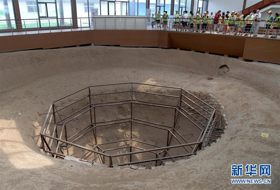 (新華全媒頭條·圖文互動(dòng))(5)大國(guó)糧倉(cāng)的新時(shí)代交響——河南農(nóng)業(yè)70年觀察