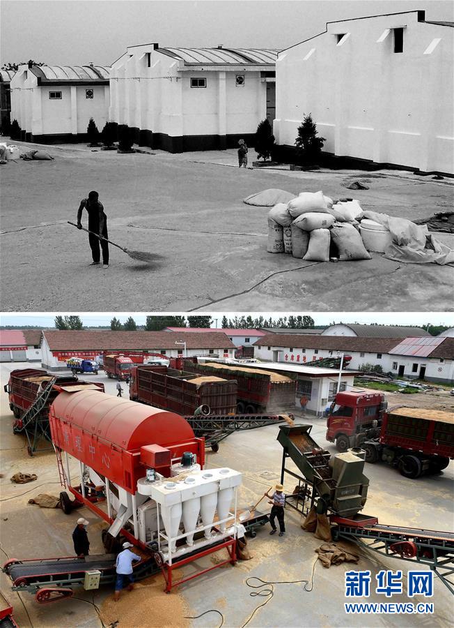 (新華全媒頭條·圖文互動(dòng))(9)大國(guó)糧倉(cāng)的新時(shí)代交響——河南農(nóng)業(yè)70年觀察