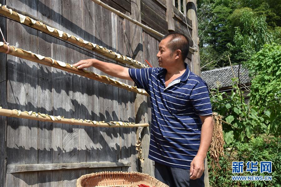 （愛國情 奮斗者&middot;圖文互動）（2）貴州印江高石坎護(hù)林隊：半輩子，以林場為家