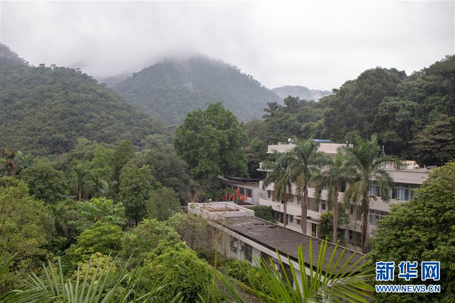 (圖文互動)(3)科學(xué)接續(xù)保護 守住生態(tài)紅線——探訪“北回歸沙漠帶上的綠色明珠”