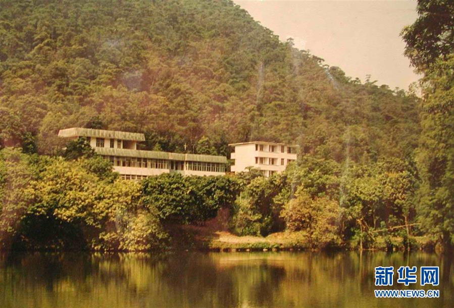 (圖文互動)(4)科學(xué)接續(xù)保護 守住生態(tài)紅線——探訪“北回歸沙漠帶上的綠色明珠”