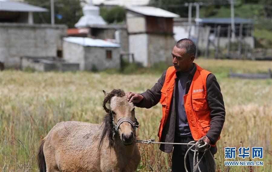 (新華全媒頭條·決戰(zhàn)決勝脫貧攻堅·圖文互動)(4)為了人與自然和諧共生——云南“三江并流”地區(qū)決戰(zhàn)精準脫貧的“生態(tài)畫卷”