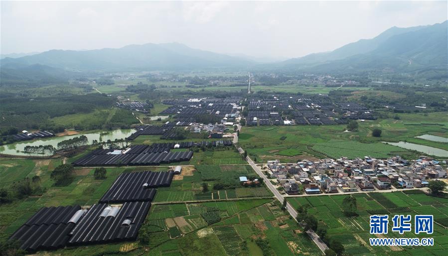 (在習(xí)近平新時代中國特色社會主義思想指引下——新時代新作為新篇章·總書記關(guān)心的百姓身邊事·圖文互動)(1)“科技秀才”給田野帶來新希望