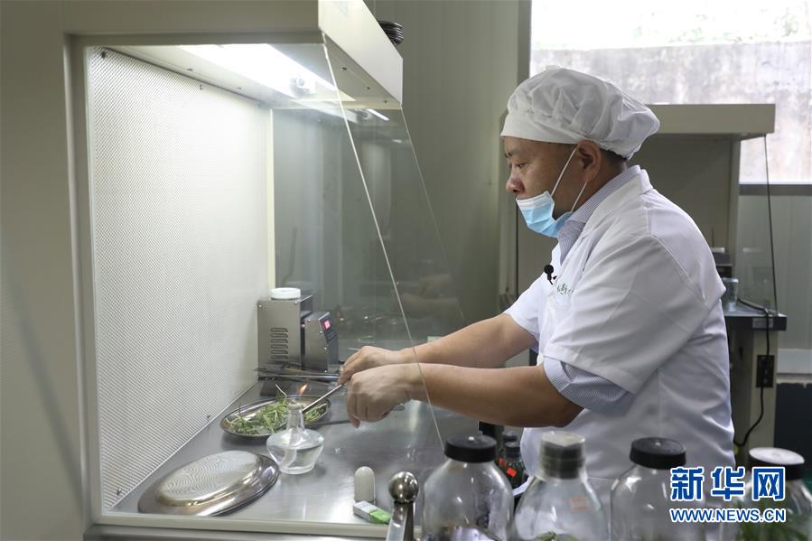 (在習(xí)近平新時代中國特色社會主義思想指引下——新時代新作為新篇章·總書記關(guān)心的百姓身邊事·圖文互動)(5)“科技秀才”給田野帶來新希望