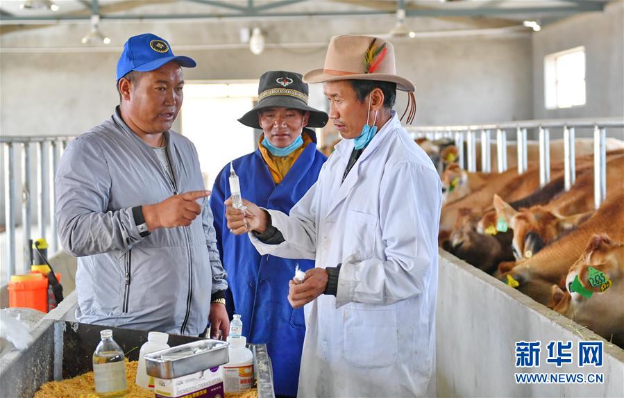 (新華全媒頭條·決戰(zhàn)決勝脫貧攻堅(jiān)·圖文互動(dòng))(4)歷史的決戰(zhàn) 偉大的創(chuàng)舉——“世界屋脊”上的反貧困奇跡