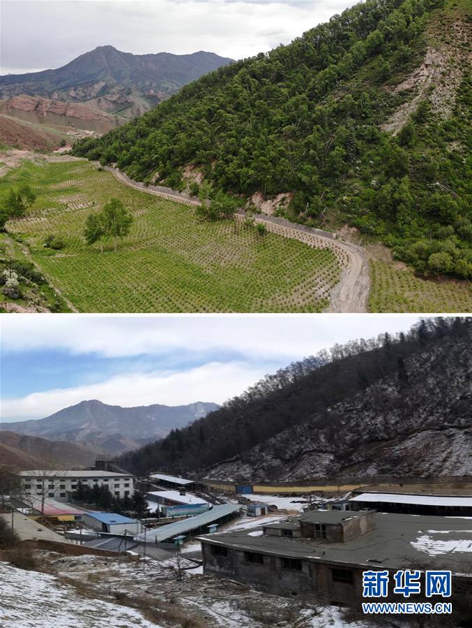 (新華全媒頭條·圖文互動(dòng))(8)綠色的啟示——西部地區(qū)生態(tài)問題典型個(gè)案再調(diào)查