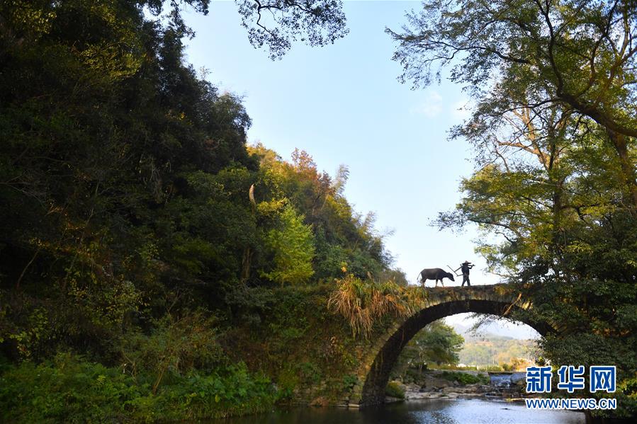 （圖文互動(dòng)）（3）鄉(xiāng)村攝影師、鄉(xiāng)村&ldquo;模特&rdquo;、民宿店主&mdash;&mdash;鄉(xiāng)村旅游推動(dòng)婺源農(nóng)民生活方式發(fā)生新變化