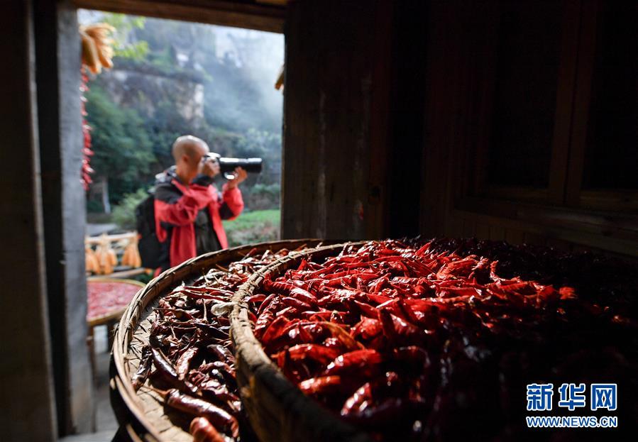 （圖文互動(dòng)）（6）鄉(xiāng)村攝影師、鄉(xiāng)村&ldquo;模特&rdquo;、民宿店主&mdash;&mdash;鄉(xiāng)村旅游推動(dòng)婺源農(nóng)民生活方式發(fā)生新變化