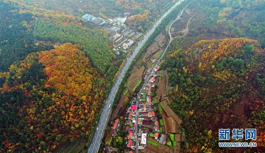 (新華全媒頭條·四中全會精神在基層·圖文互動)(6)沖破衰退循環(huán) 引領(lǐng)生態(tài)崛起——東北老工業(yè)基地城市本溪綠色轉(zhuǎn)型煥發(fā)朝氣