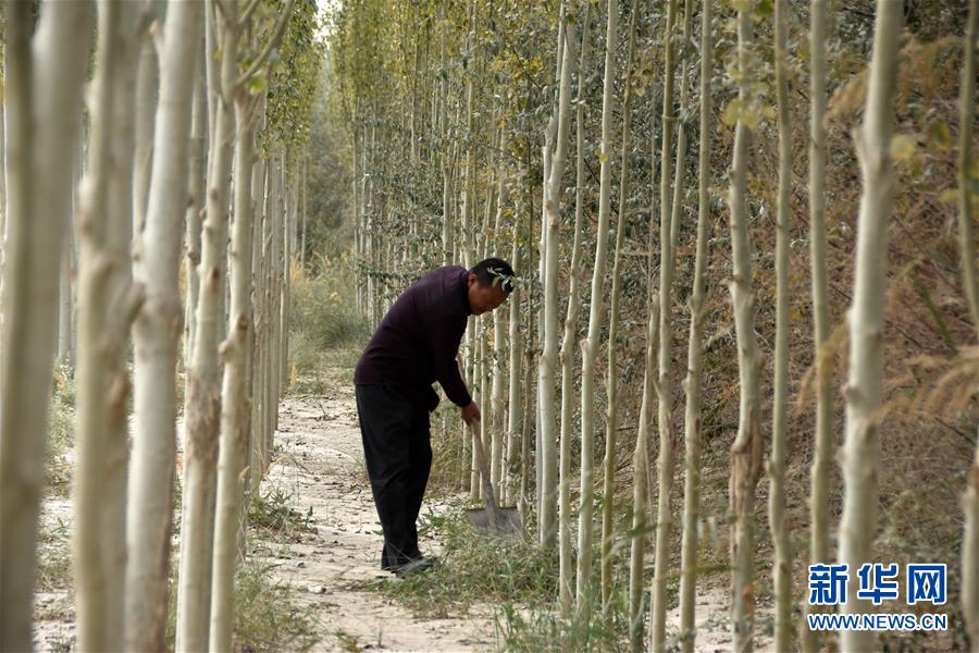 (新華全媒頭條·圖文互動(dòng))(7)大漠小城的絕地反擊