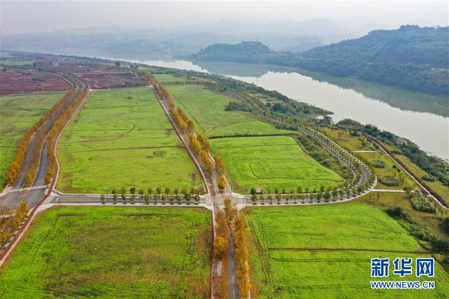 （四中全會(huì)精神在基層&middot;圖文互動(dòng)）（2）一江碧水串起綠色島鏈&mdash;&mdash;重慶江心島&ldquo;生態(tài)留白&rdquo;調(diào)查