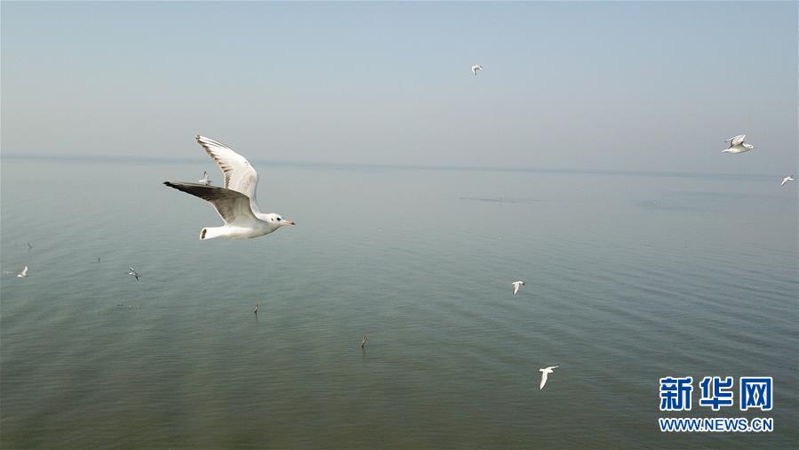 (新華全媒頭條·圖文互動(dòng))(1)大湖見證——長三角三大淡水湖綠色發(fā)展之路