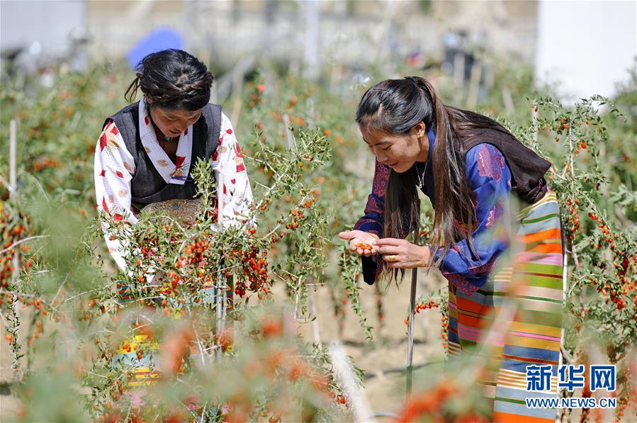 (新華全媒頭條·兩會特別報道·圖文互動)(7)在推進高質(zhì)量發(fā)展中創(chuàng)造廣闊空間——從全國兩會看奮進中國的發(fā)展機遇