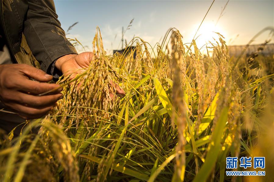 （新華全媒頭條&middot;圖文互動(dòng)）（5）上下同心再出發(fā)&mdash;&mdash;習(xí)近平總書(shū)記同出席2019年全國(guó)兩會(huì)人大代表、政協(xié)委員共商國(guó)是紀(jì)實(shí)