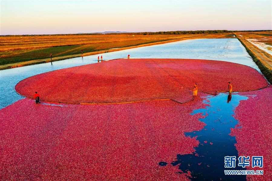 （圖文互動(dòng)）（9）從&ldquo;輕工漁網(wǎng)重工馬掌&rdquo;到&ldquo;圓夢(mèng)小康&rdquo;&mdash;&mdash;&ldquo;中國東極&rdquo;脫貧攻堅(jiān)剪影