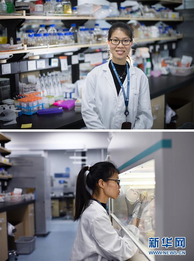 (新華全媒頭條·圖文互動)(1)創(chuàng)造中華民族的偉大歷史時間——寫在農(nóng)歷庚子鼠年春節(jié)到來之際