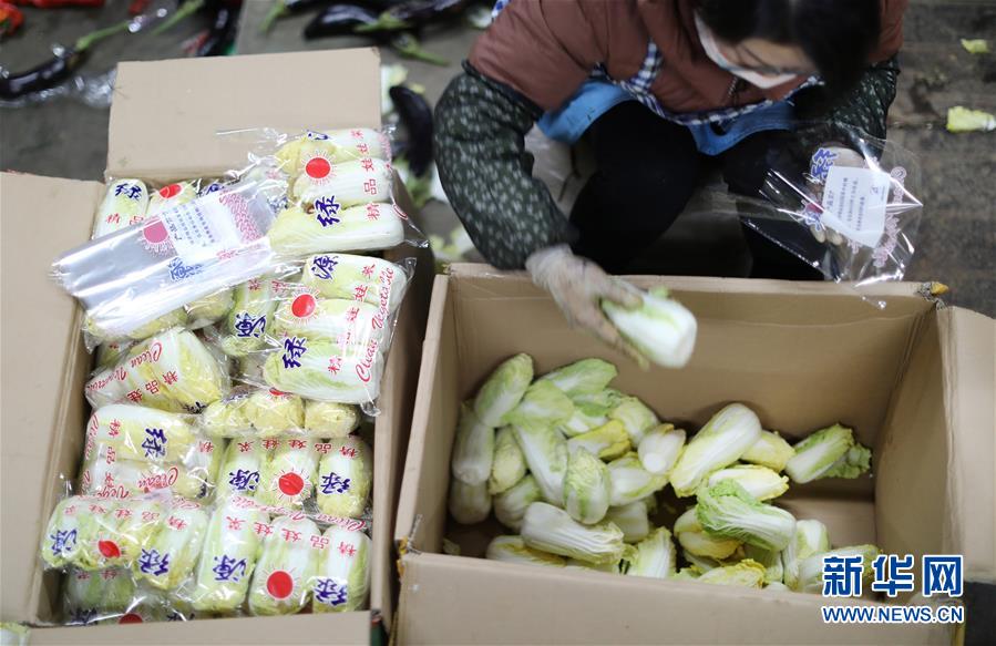 (聚焦疫情防控·圖文互動(dòng))(2)特寫:蔬菜批發(fā)市場(chǎng)里感受“春”意