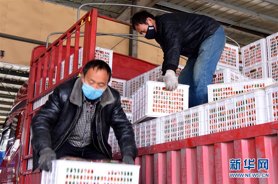 （聚焦疫情防控&middot;圖文互動）（5）吃的東西充足，做點花樣菜吧！&mdash;&mdash;中部地區(qū)最大農(nóng)產(chǎn)品批發(fā)市場見聞 