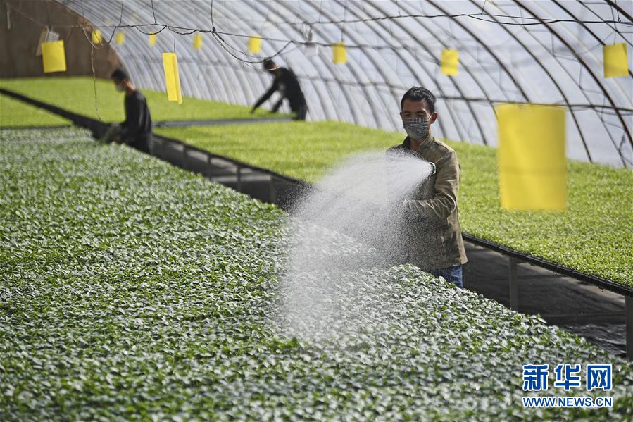 （新華全媒頭條&middot;圖文互動(dòng)）（12）磨難壓不垮 奮起正當(dāng)時(shí)&mdash;&mdash;習(xí)近平總書記在統(tǒng)籌推進(jìn)新冠肺炎疫情防控和經(jīng)濟(jì)社會(huì)發(fā)展工作部署會(huì)議上的重要講話振奮人心凝聚力量