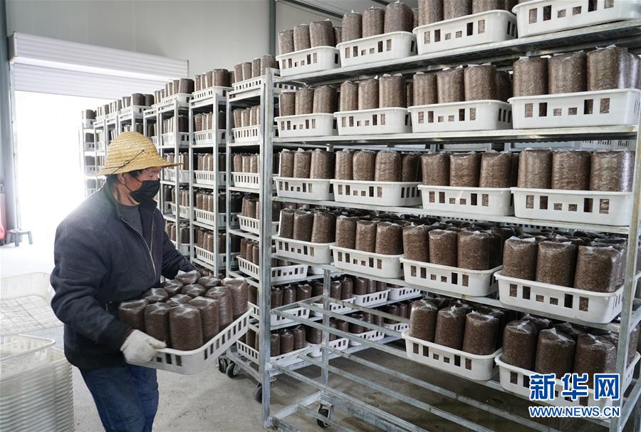 （決戰(zhàn)決勝脫貧攻堅&middot;圖文互動）（1）秦巴山區(qū)：戰(zhàn)疫戰(zhàn)貧，兩場仗都要打贏