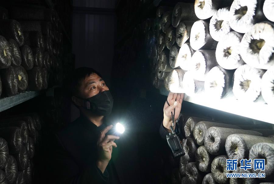 （決戰(zhàn)決勝脫貧攻堅&middot;圖文互動）（4）秦巴山區(qū)：戰(zhàn)疫戰(zhàn)貧，兩場仗都要打贏